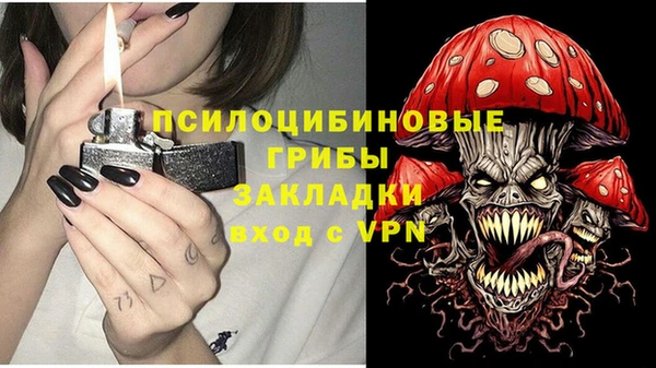 гидра Мегион