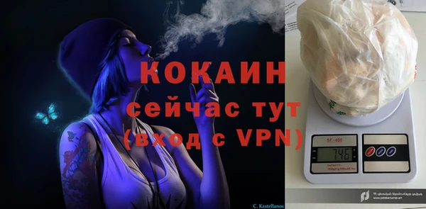 гидра Мегион