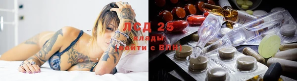 гидра Мегион