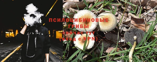 ALPHA PVP Медвежьегорск