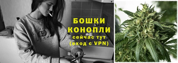 гидра Мегион