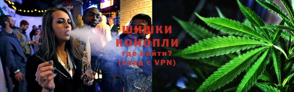 гидра Мегион